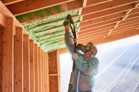 Best Eco-Friendly or Green Insulation Solutions in South Haven, IN